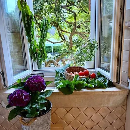 Castri Illius Maris Vila