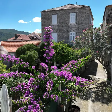 Castri Illius Maris Vila Mali Ston